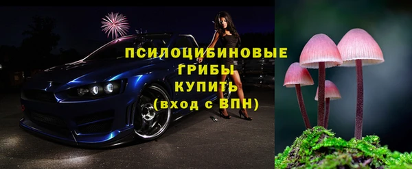 амф Абинск