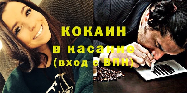 индика Алексеевка