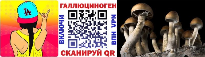 Галлюциногенные грибы GOLDEN TEACHER наркошоп Приволжский